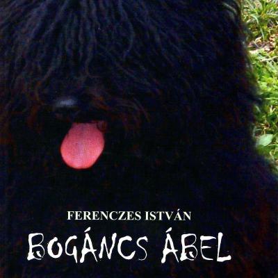 Bogáncs Ábel