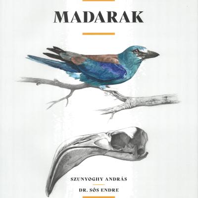 Madarak