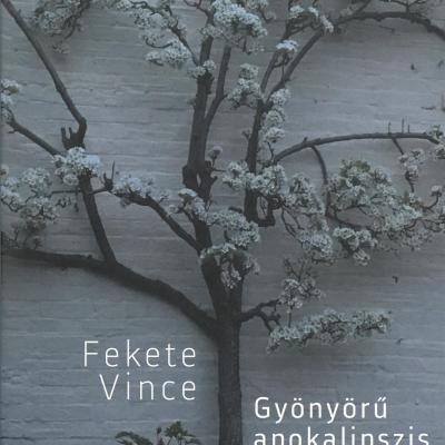 Gyönyörű apokalipszis