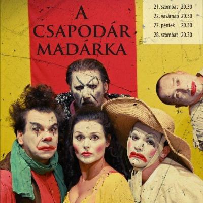A csapodár madárka