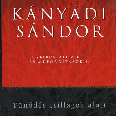 Tűnődés csillagok alatt - Egyberostált versek és műfordítások I.