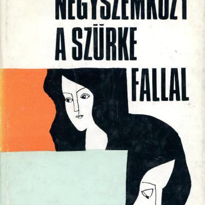 Négyszemközt a szürke fallal