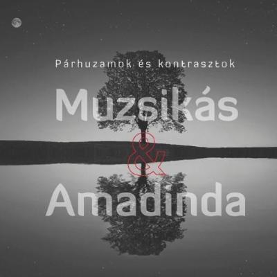 Párhuzamok és kontrasztok