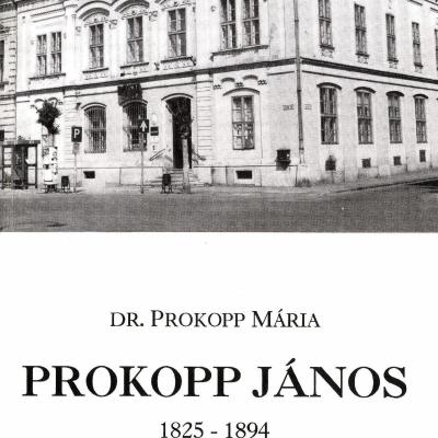 Prokopp János, 1825–1894, Esztergom megye és város első mérnöke