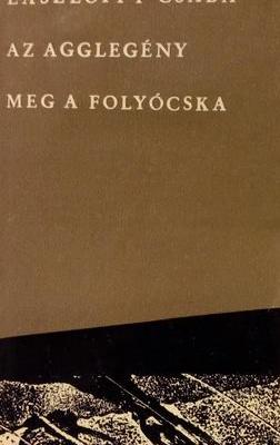 Az agglegény meg a folyócska