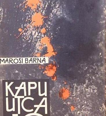 Kapu utca 10. Kisregény