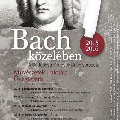 Bach közelében 