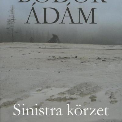 Sinistra körzet: egy regény fejezetei