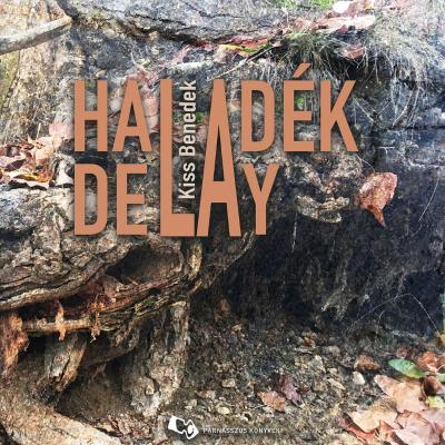 Haladék / Delay
