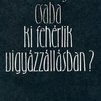 Ki fehérlik vigyázzállásban?