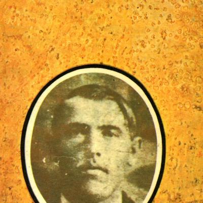 Vigyázó madár 