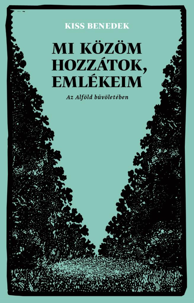Mi közöm hozzátok, emlékeim