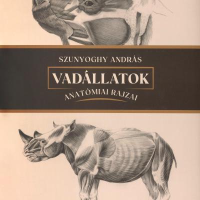 Vadállatok anatómiai rajzai