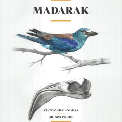 Madarak