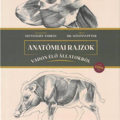 Anatómiai rajzok vadon élő állatokról
