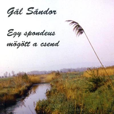 Egy spondeus mögött a csend: versek