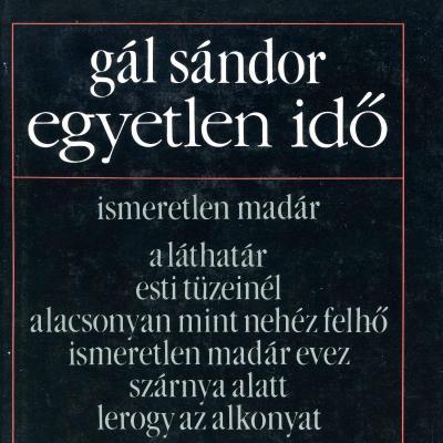 Egyetlen idő: versek