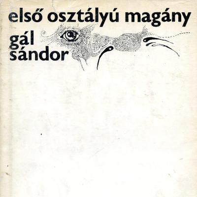 Első osztályú magány: elbeszélések