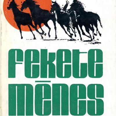 Fekete ménes: elbeszélések