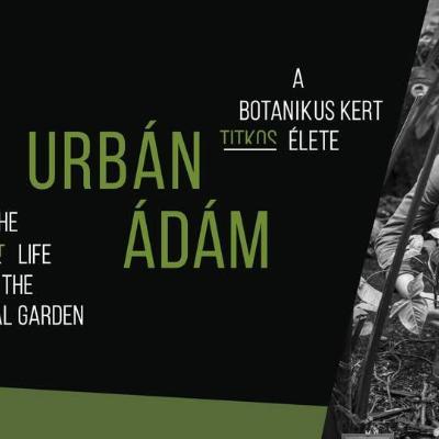 Urbán Ádám: A botanikus kert titkos élete | Fotók a vácrátóti Nemzeti Botanikus Kertből - megnyitó