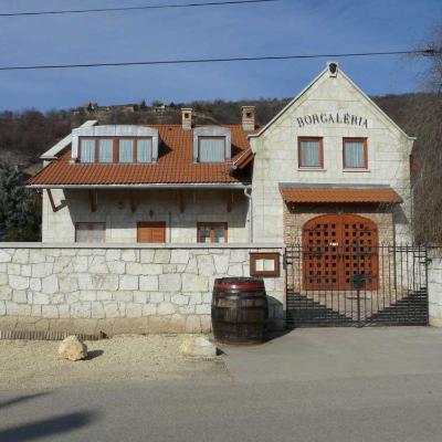 Borgaléria és grillező épület