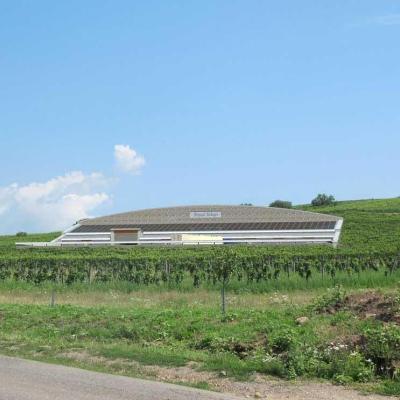 Royal Tokaji Borászat logisztikai központ