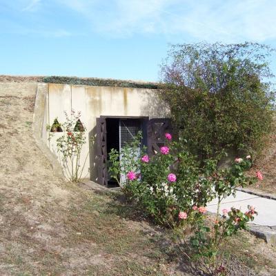 Csolt-monostor. Őstörténeti bemutató – „régészeti kripta"