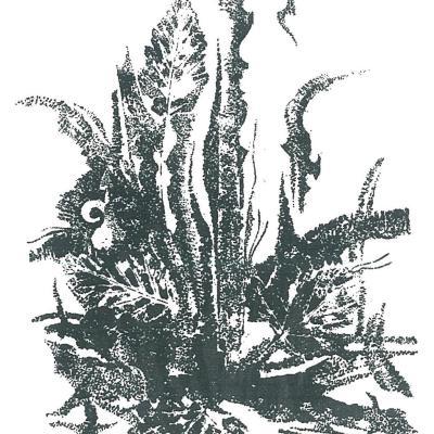 Kőrajzok - litográfiák