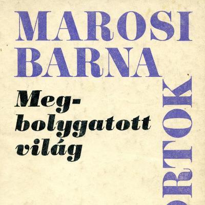 Megbolygatott világ. Riportok